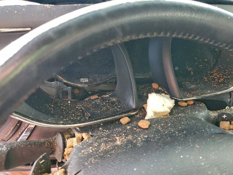 Фото 9 - TOYOTA AVALON