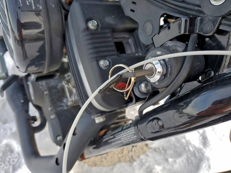 HARLEY-DAVIDSON XL883 N 2021