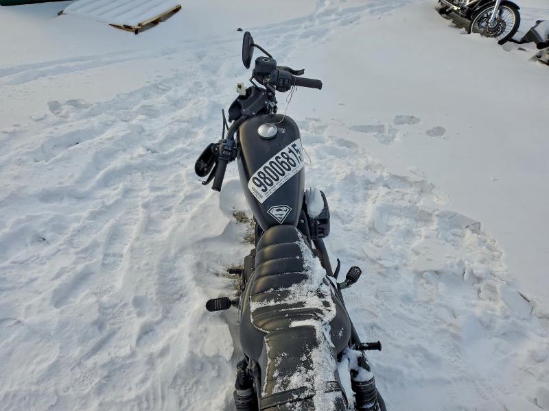 HARLEY-DAVIDSON XL883 N 2021