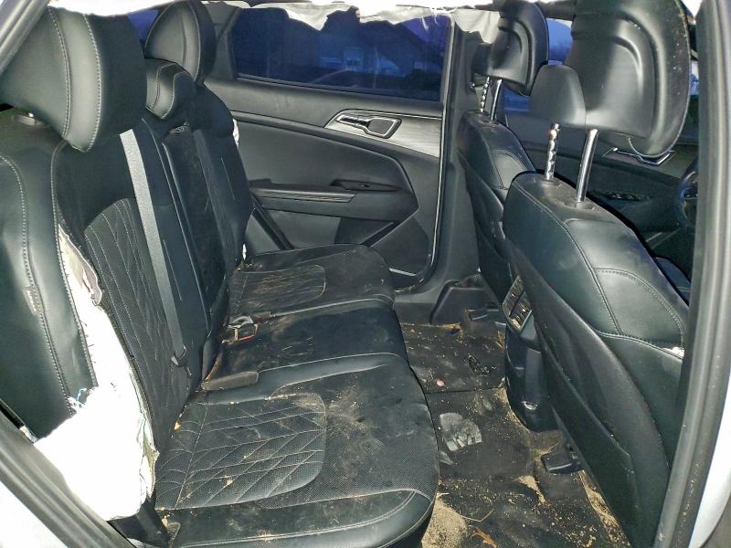 KIA SPORTAGE X 2024 VIN 5XYK6CDF6RG144389