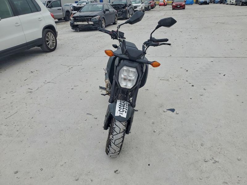 HONDA GROM 2026