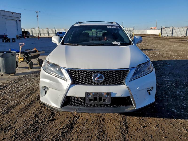 Фото 5 - LEXUS RX350