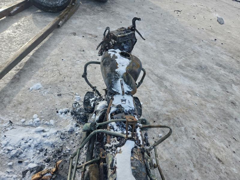 HARLEY-DAVIDSON FLHTCUI 10 2008