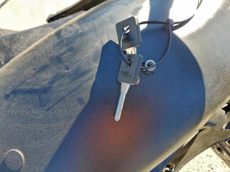 HARLEY-DAVIDSON XL1200 NS 2021