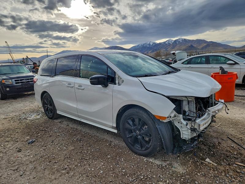 HONDA ODYSSEY SP 2024 VIN 5FNRL6H70RB031010