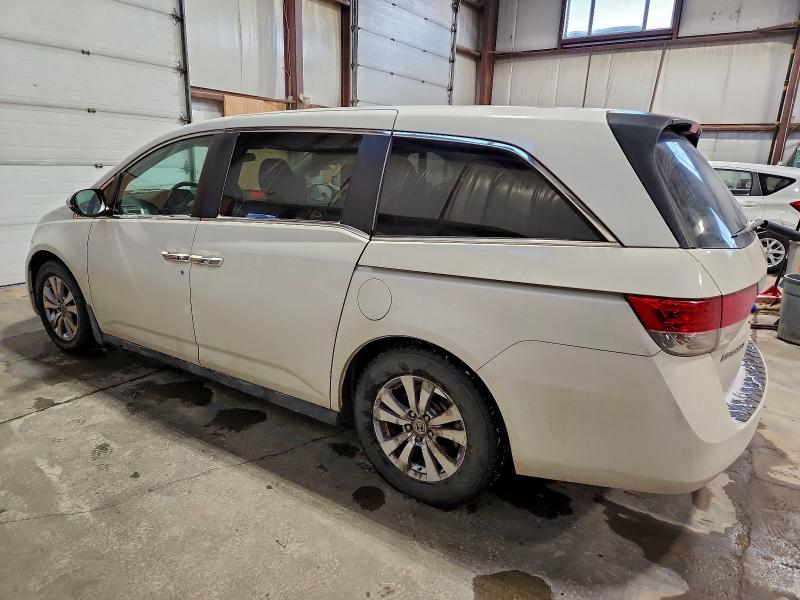 Фото 2 - HONDA All Models