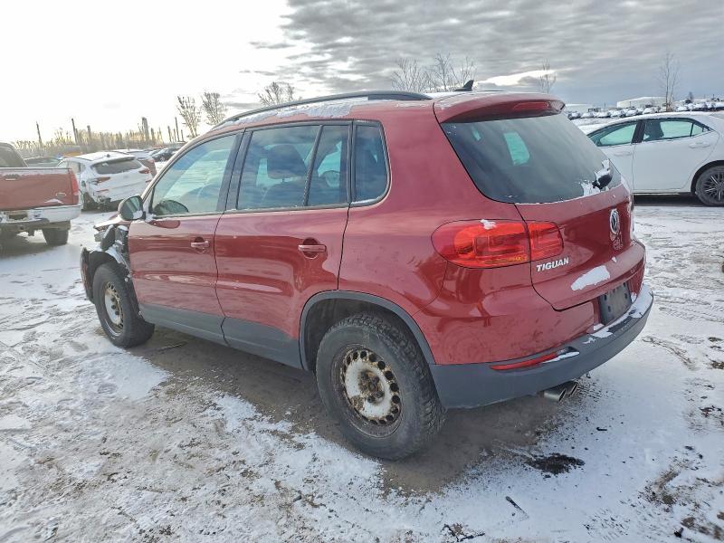 Фото 2 - VOLKSWAGEN TIGUAN