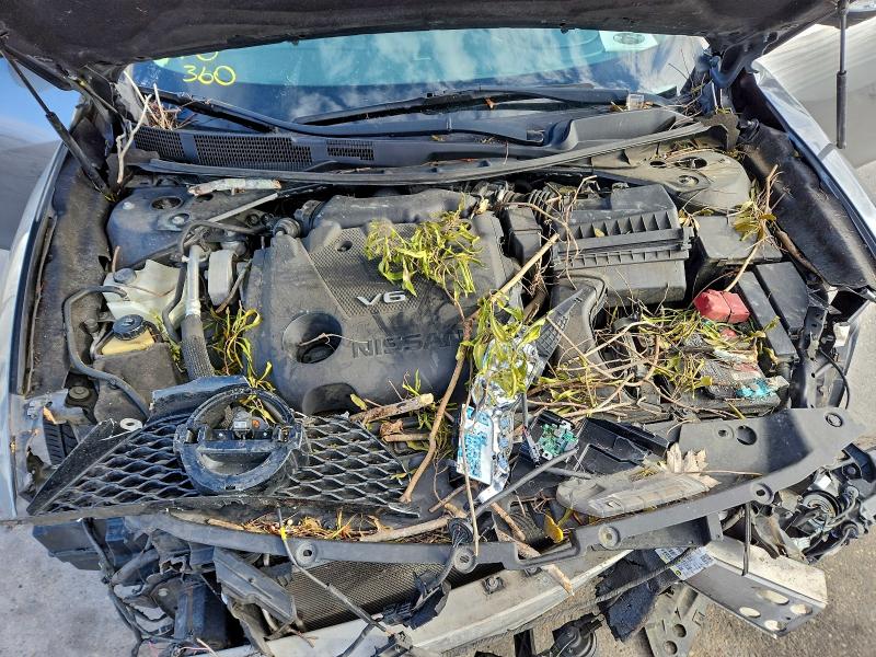 Фото 11 - NISSAN MAXIMA