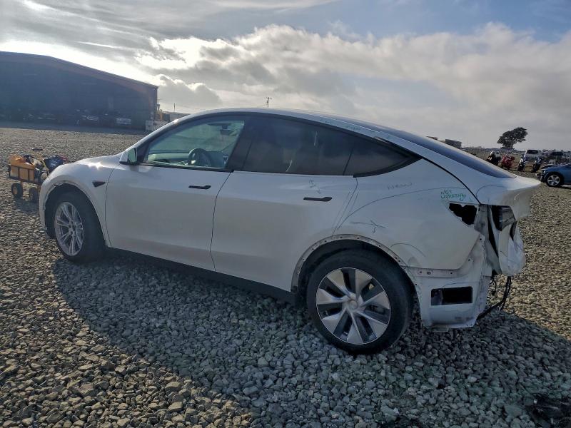 Фото 2 - TESLA MODEL Y