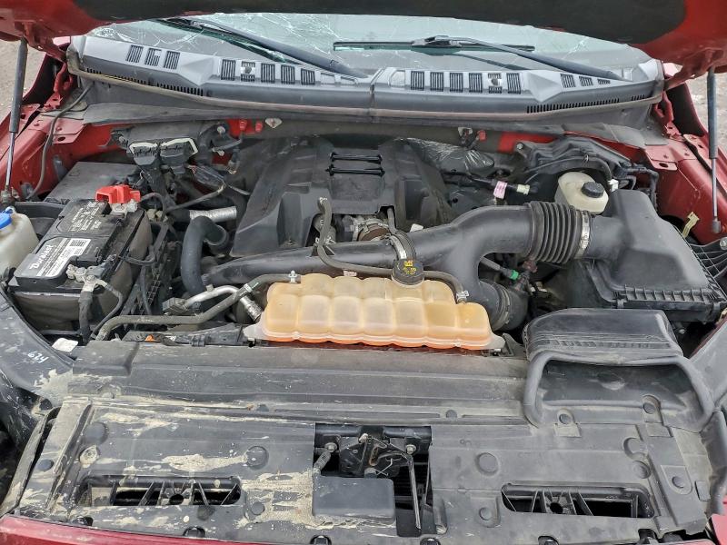 Фото 11 - FORD F-150