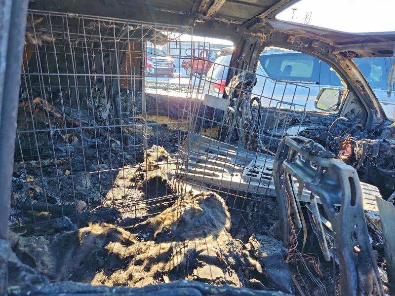 Фото 11 - CADILLAC ESCALADE