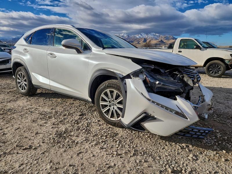 Фото 4 - LEXUS NX