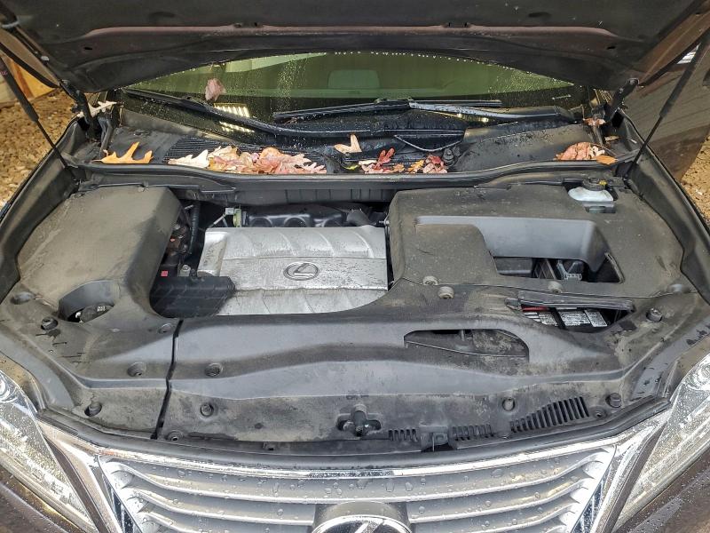 Фото 12 - LEXUS RX350