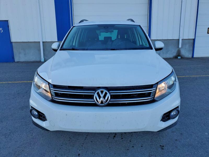 Фото 5 - VOLKSWAGEN TIGUAN