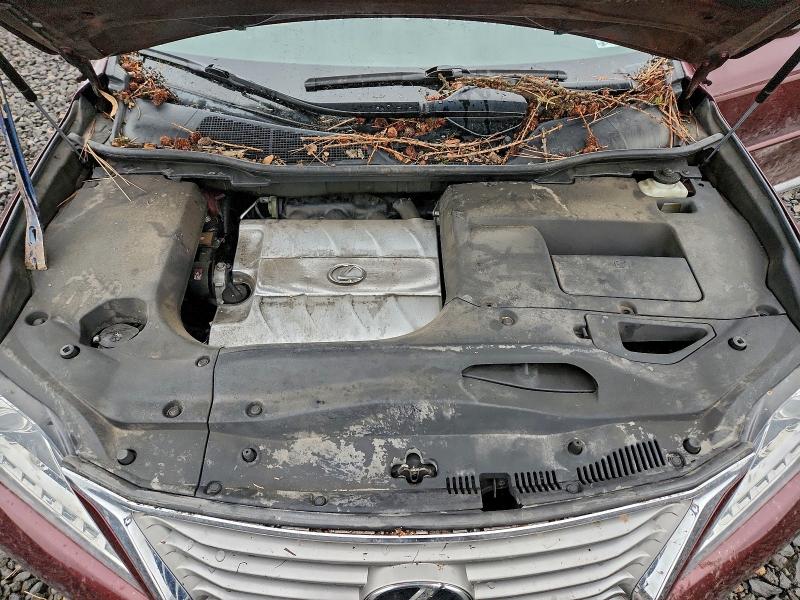 Фото 12 - LEXUS RX350