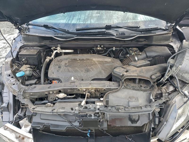 Фото 12 - HONDA All Models