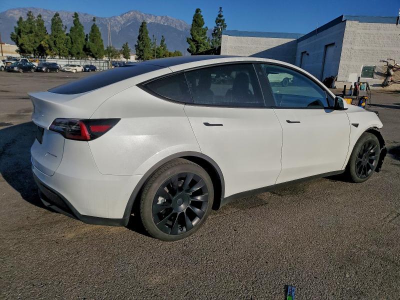 Фото 3 - TESLA MODEL Y