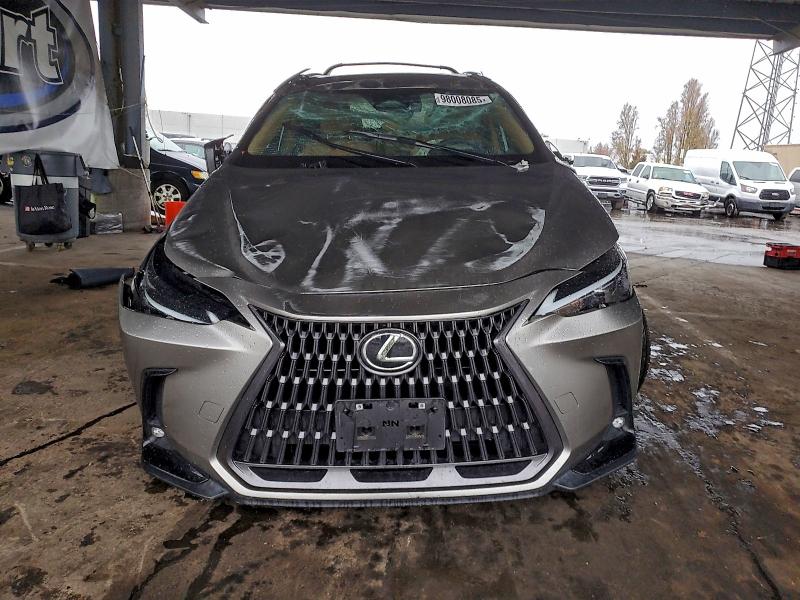 LEXUS NX 250 BAS 2024 VIN 2T2ADCAZ7RC008375