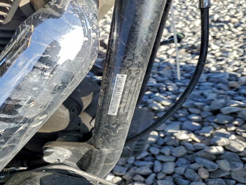 HARLEY-DAVIDSON FL 2009