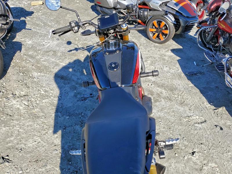 INDIAN FTR 1200 S 2019