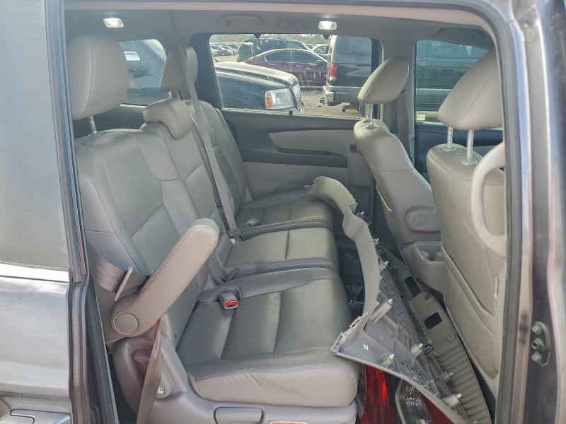 Фото 10 - HONDA All Models