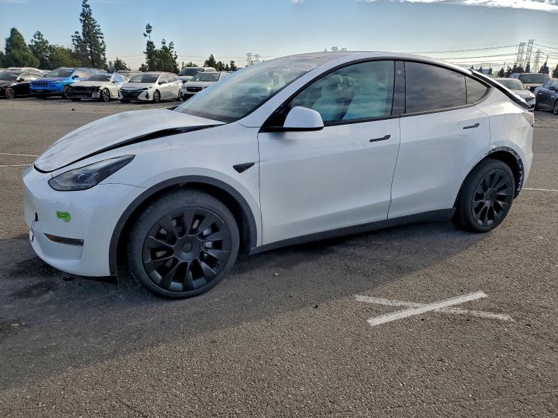 Фото 1 - TESLA MODEL Y