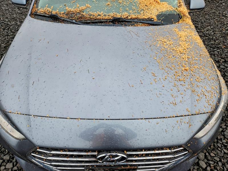 Фото 11 - HYUNDAI ACCENT