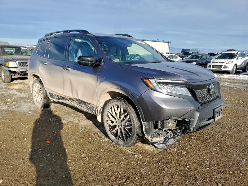 Фото 4 - HONDA PASSPORT