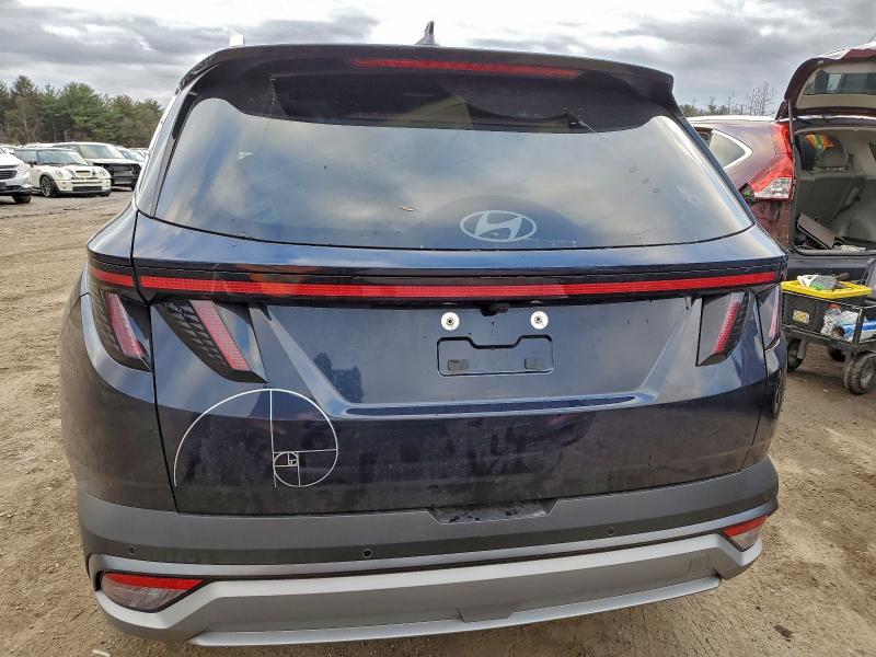 HYUNDAI TUCSON 2025 VIN KM8JEDD13SU367935