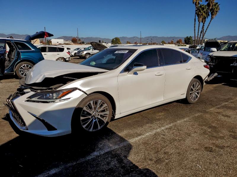 Фото 1 - LEXUS ES300