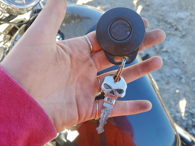 HARLEY-DAVIDSON SPRTSTR120 2005