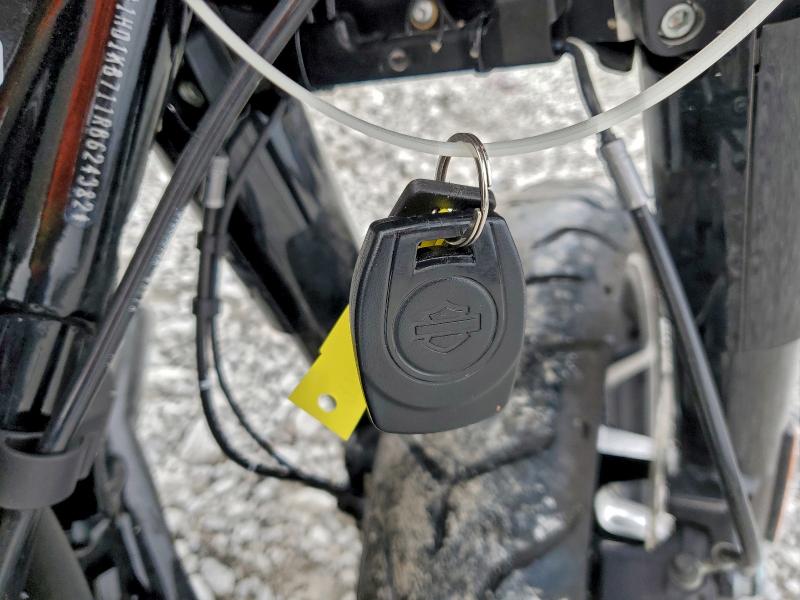 HARLEY-DAVIDSON FL 2024