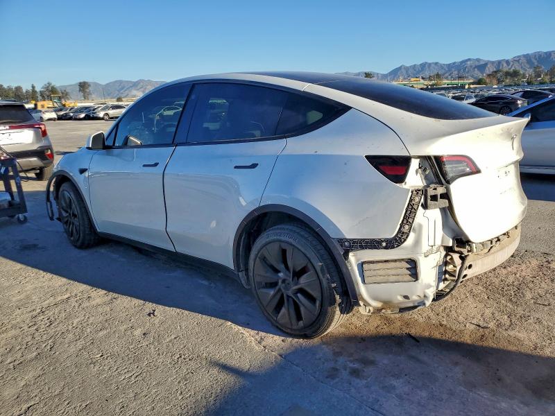 Фото 2 - TESLA MODEL Y
