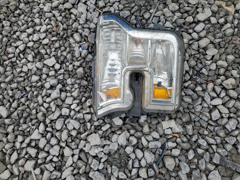 Фото 12 - FORD F-150