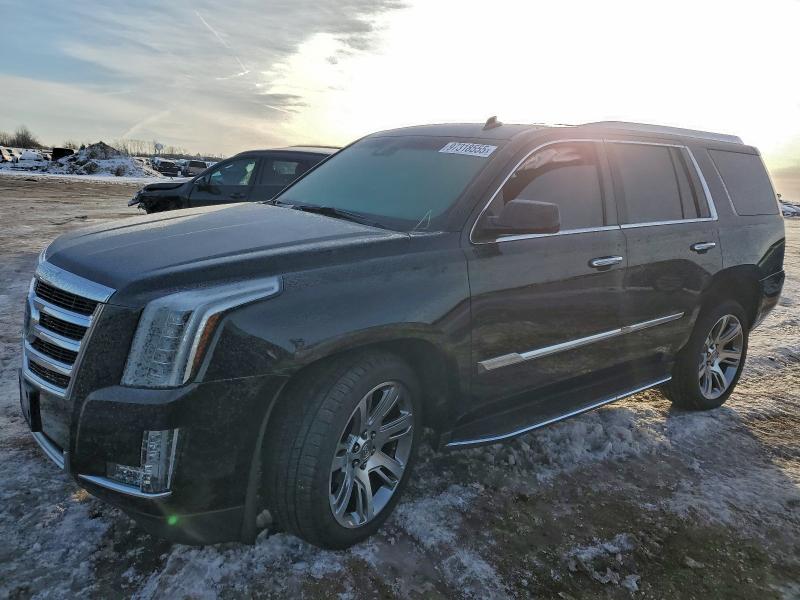 Фото 1 - CADILLAC ESCALADE