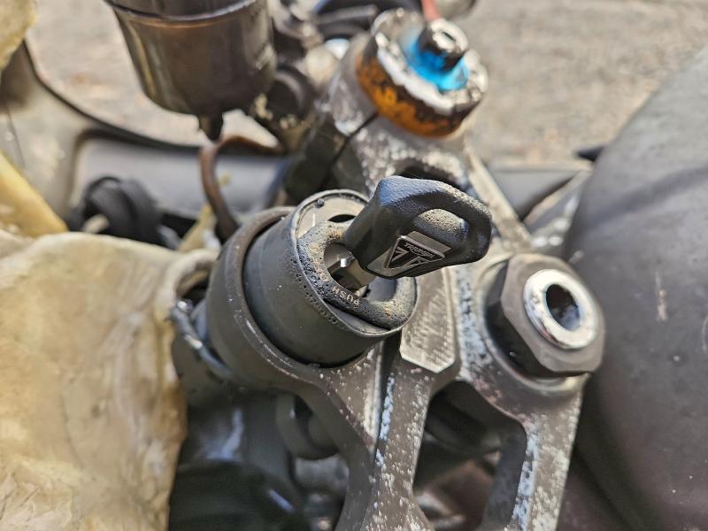 TRIUMPH DAYTONA MO 2020