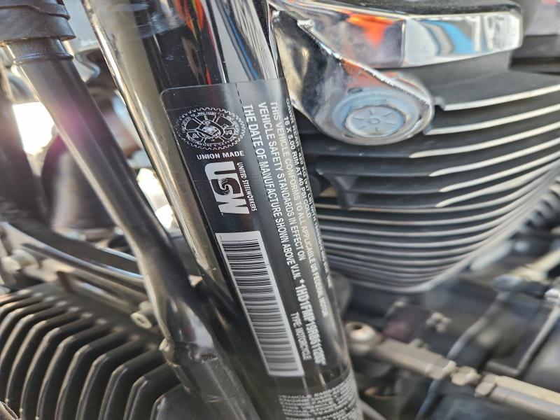 HARLEY-DAVIDSON FL 2024