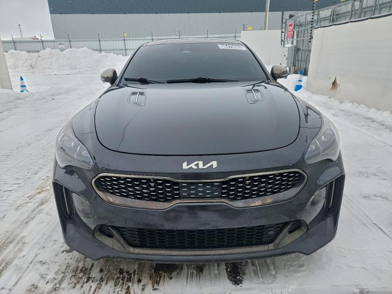 Фото 5 - KIA STINGER