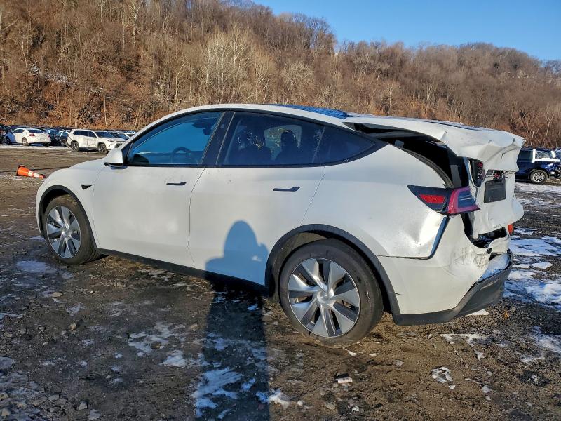 Фото 2 - TESLA MODEL Y
