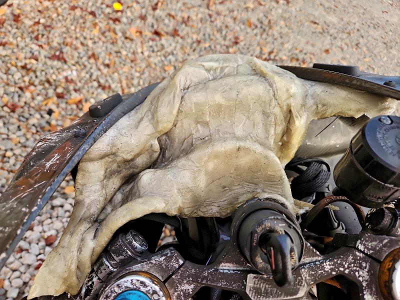 TRIUMPH DAYTONA MO 2020