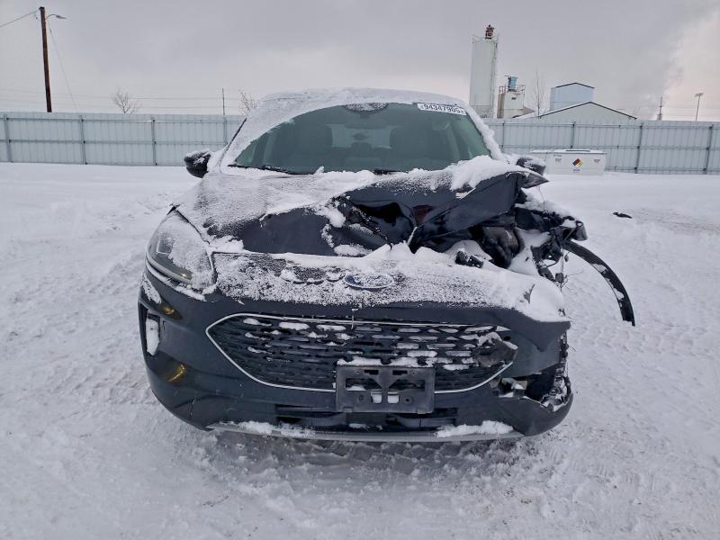 Фото 5 - FORD ESCAPE