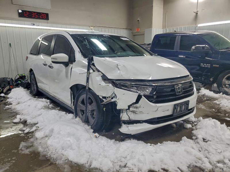 Фото 4 - HONDA All Models