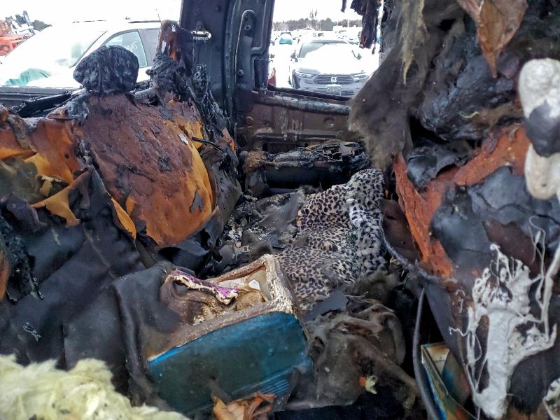 Фото 10 - TOYOTA TUNDRA