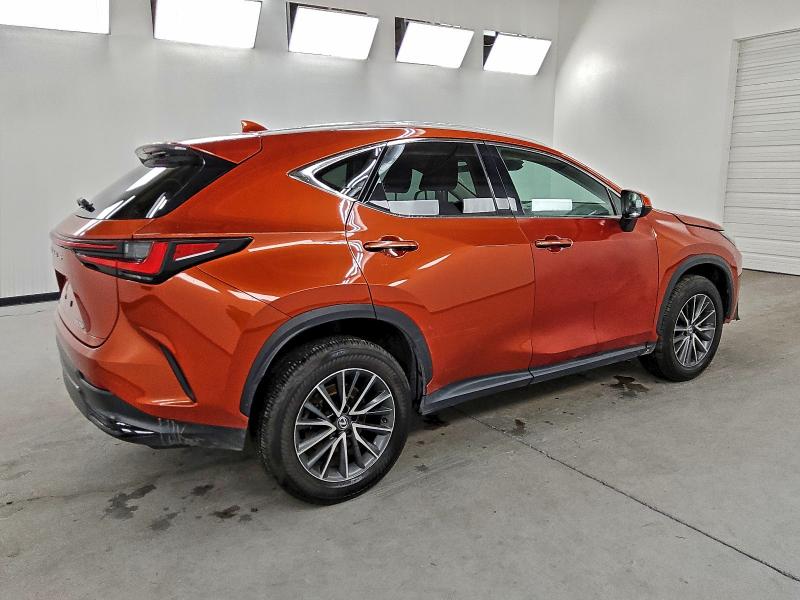 LEXUS NX 250 2023 VIN 2T2GDCAZ1PC003051