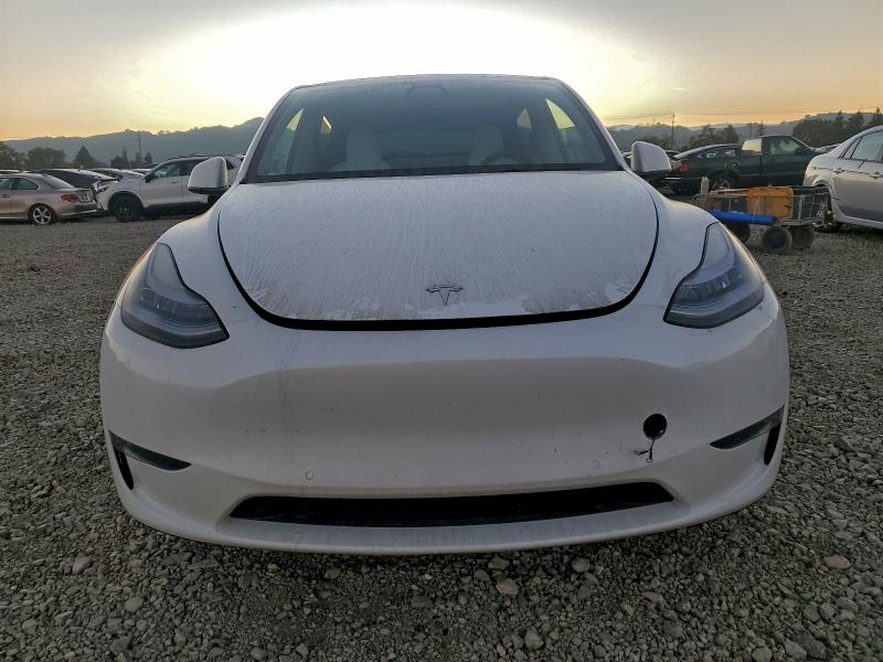 Фото 5 - TESLA MODEL Y