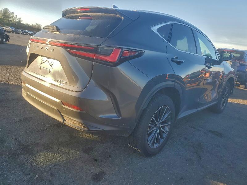 LEXUS NX 350 BAS 2025 VIN 2T2AGCEZ4SC081601