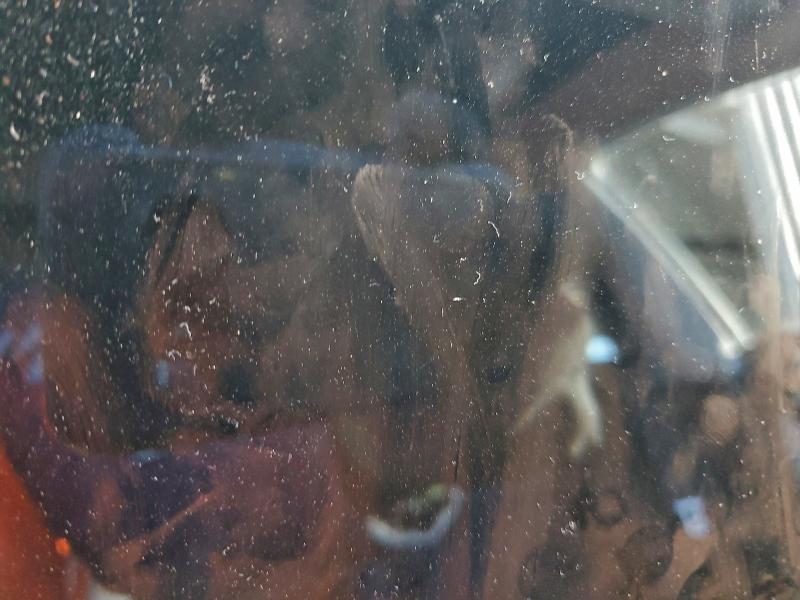 Фото 9 - TESLA MODEL 3