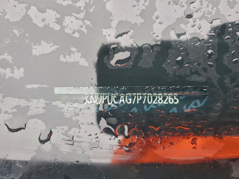 Фото 13 - KIA SPORTAGE