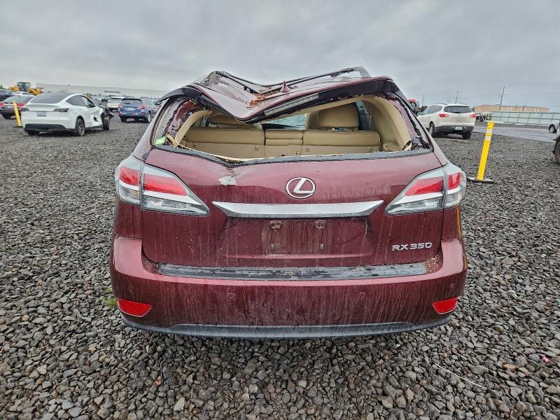 Фото 6 - LEXUS RX350