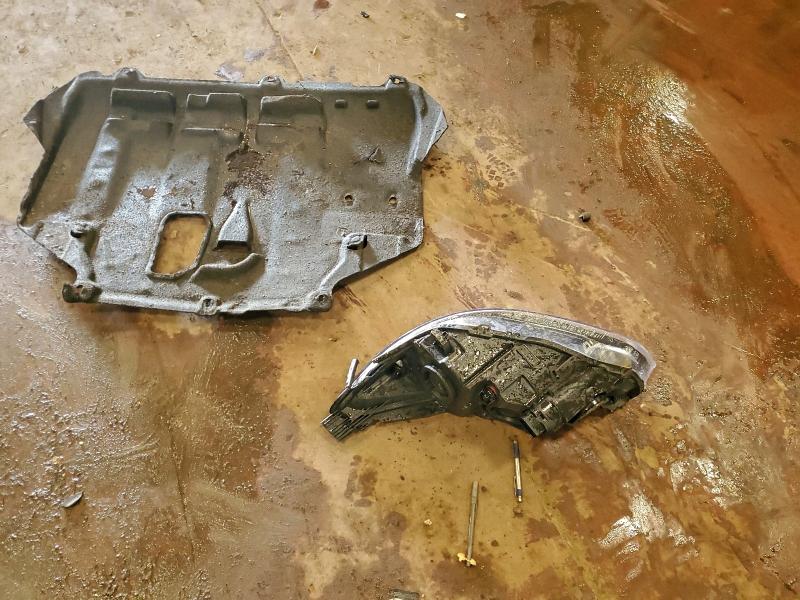 Фото 12 - FORD FOCUS